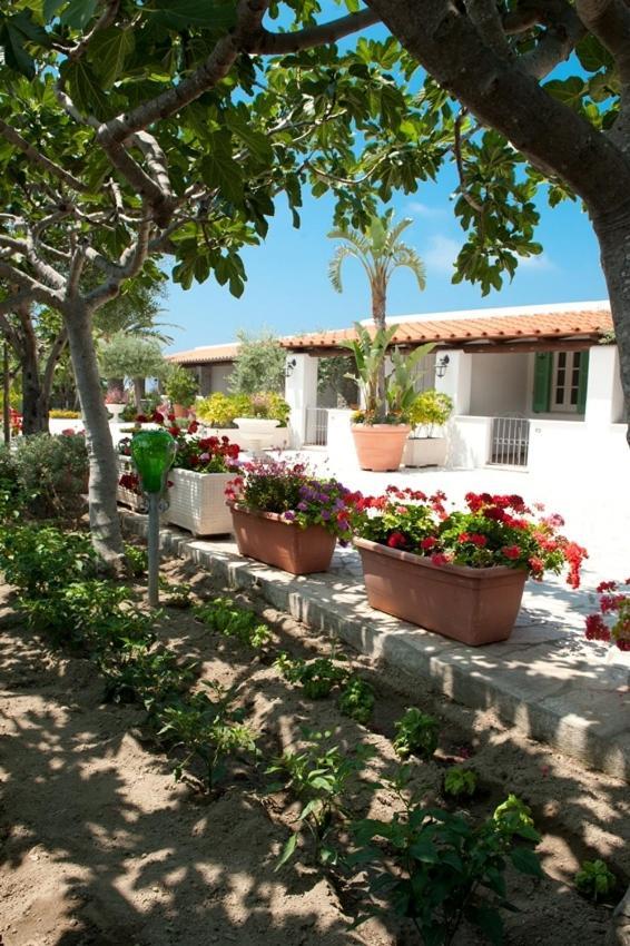 Residence Le Vigne Forio  Exterior photo